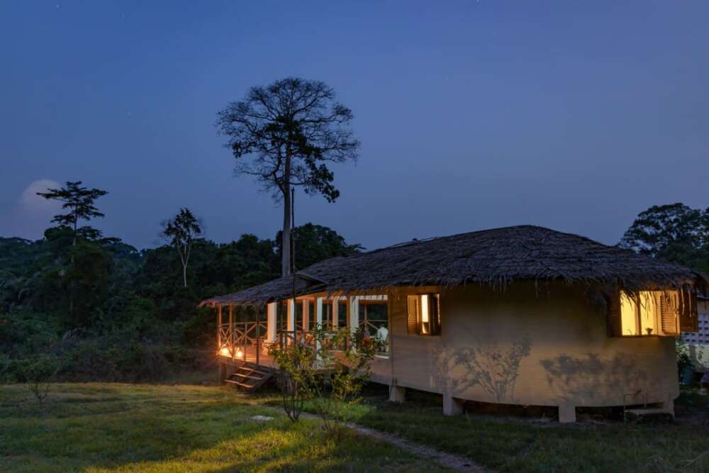 Taï Forest Lodges